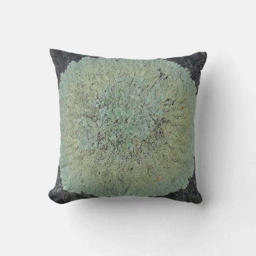 lichen circle almost solid teal green blue gray throw pillow