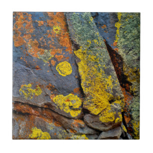 Lichen Covered Rocks Ceramic Tile