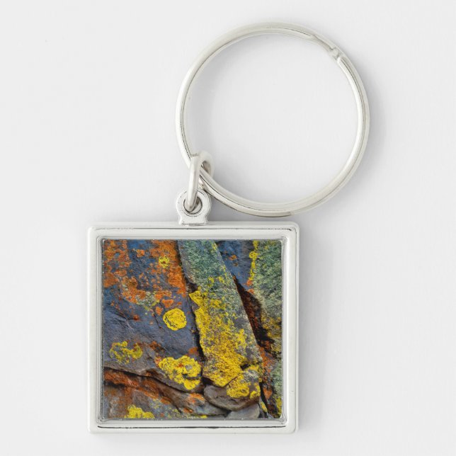 Lichen Covered Rocks Keychain (Front)