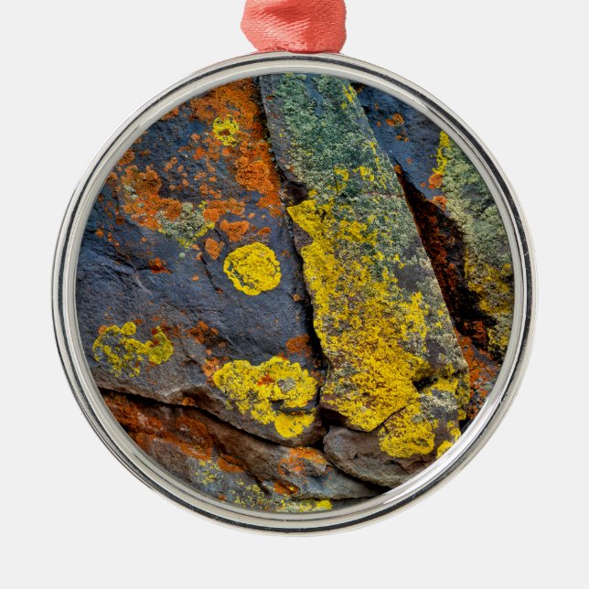 Lichen Covered Rocks Metal Ornament (Front)