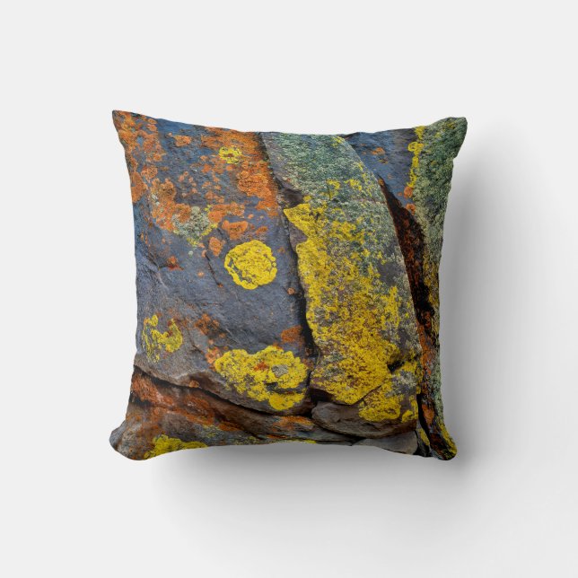 Lichen Covered Rocks Throw Pillow (Front)