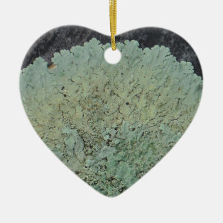 Lichen Mossy Circle Ceramic Ornament