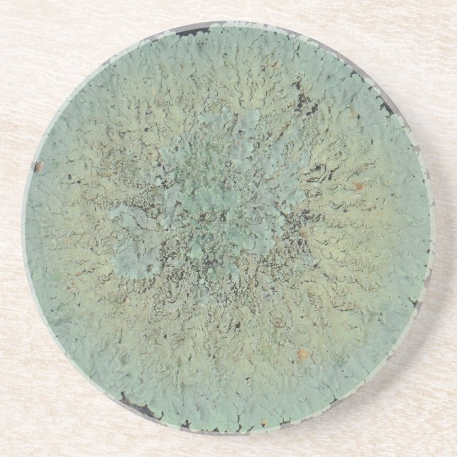 Lichen Mossy Circle Drink Coaster (Front)