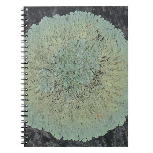 Lichen Mossy Circle Notebook
