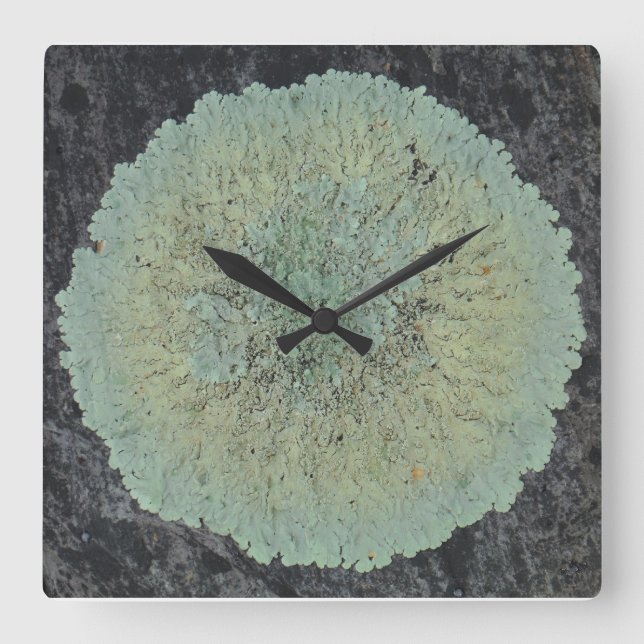 Lichen Mossy Circle Square Wall Clock (Front)