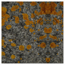 lichen on granite photo fabric