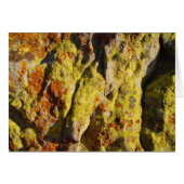 Lichen on Rock (Front Horizontal)