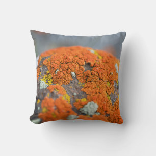 Lichen orange moss stone grey throw pillow