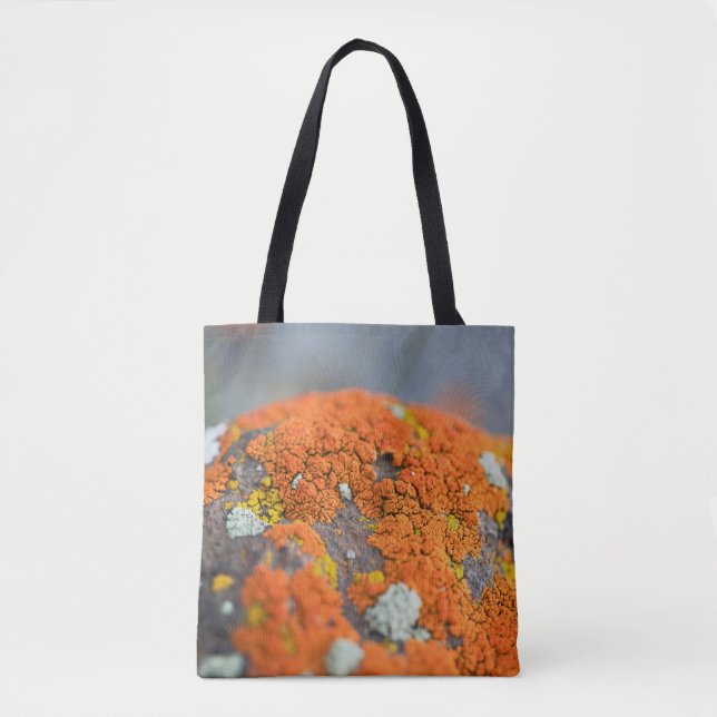 Lichen orange moss stone grey tote bag (Front)