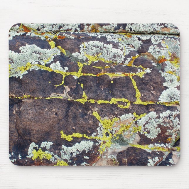 Lichens On Rock No. 3 Mouse Pad (Front)