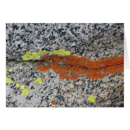 Lichens, Sequoia National Park Cards (Front Horizontal)