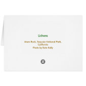 Lichens, Sequoia National Park Cards (Back Horizontal)