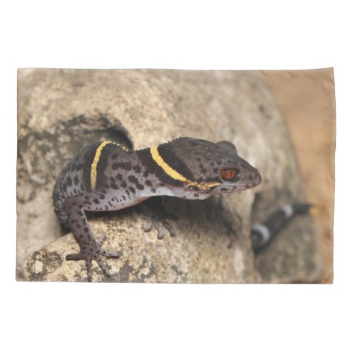 Lichtenfelders gecko pillowcase
