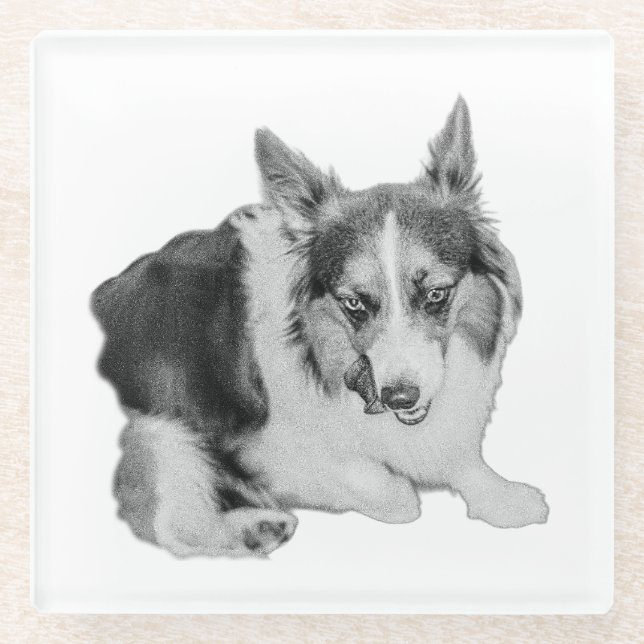Lick of Approval Glass Coaster (Front)