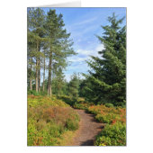 Lickey Hills (Front)