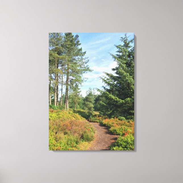 Lickey Hills Canvas Print (Front)