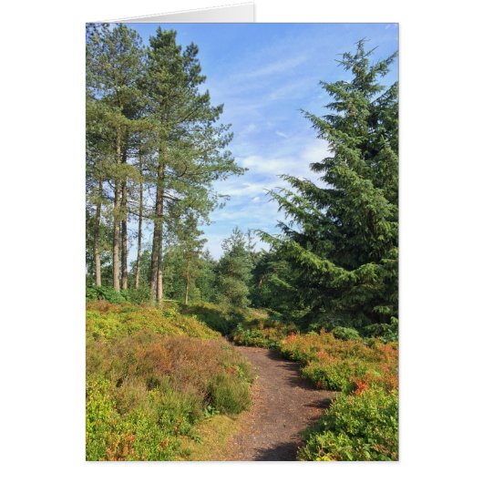 Lickey Hills Cards (Front)