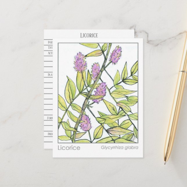 Licorice Herb Materia Medica Herbal Study Card (Front/Back In Situ)