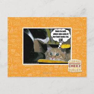 LIE POSTCARD