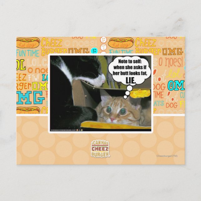 LIE POSTCARD (Front)