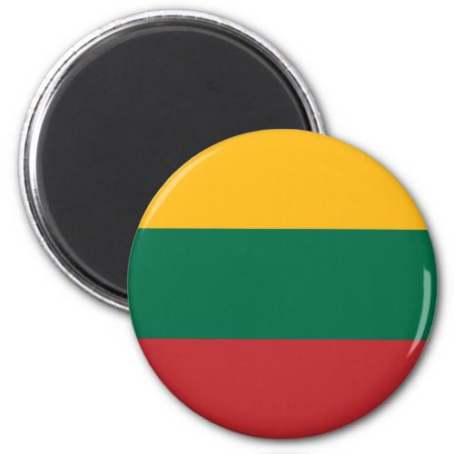 Lietuvos Valstybės Vėliava Vytis Lithuania Flag Magnet