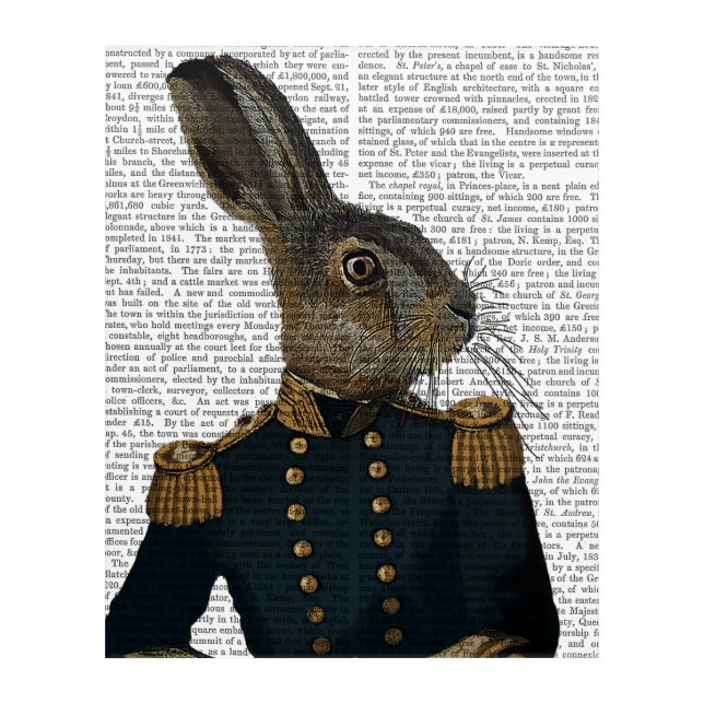Lieutenant Hare Acrylic Print (Front)