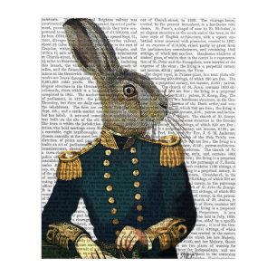 Lieutenant Hare Acrylic Print