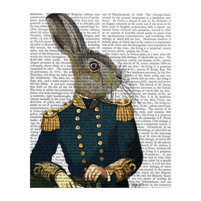 Lieutenant Hare Acrylic Print (Front)
