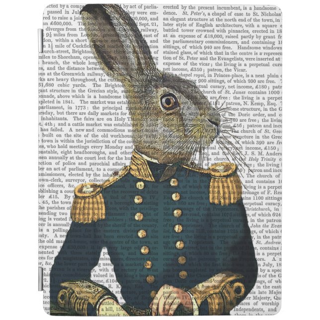 Lieutenant Hare iPad Air Cover (Front)