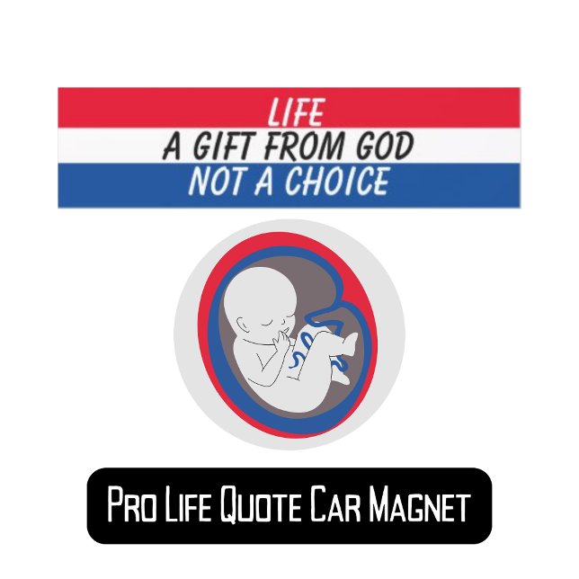 Life, A Gift From God, Not A Choice Pro-Life Car Magnet (Creator Uploaded)