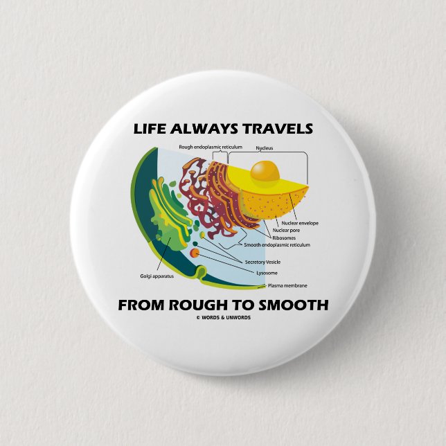 Life Always Travels From Rough To Smooth Pinback Button (Front)