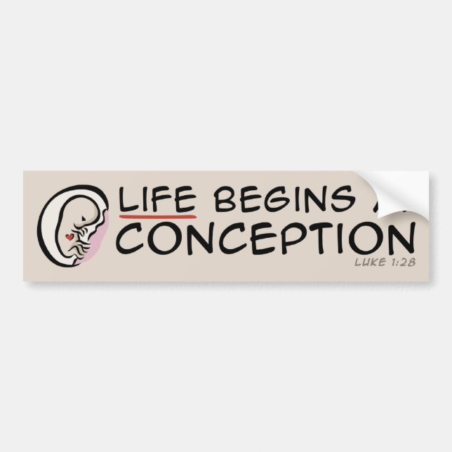 Life Begins At Conception Bumper Sticker (Front)
