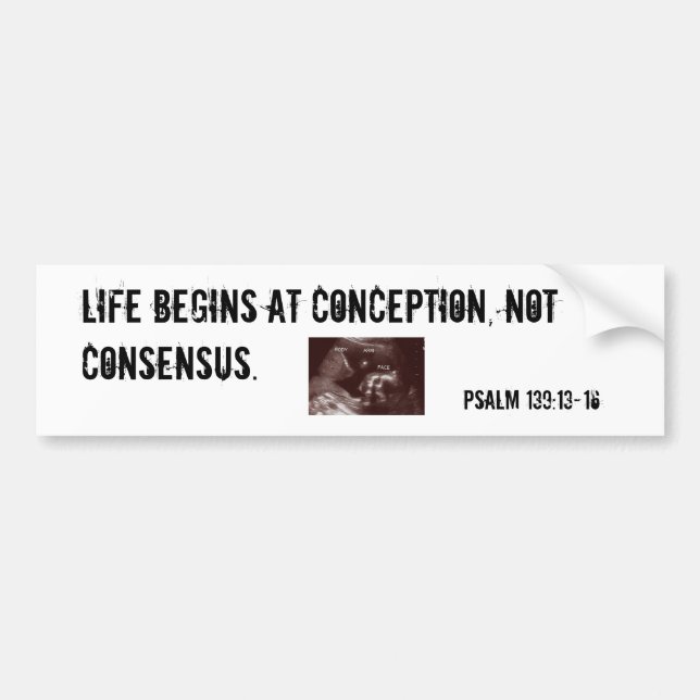 Life begins at conception. bumper sticker (Front)