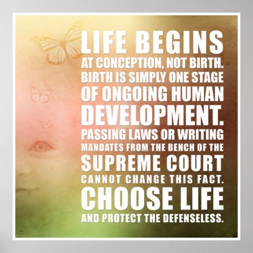 Life Begins At Conception Poster