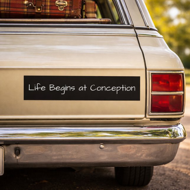 Life Begins at Conception Pro Life Anti Abortion Bumper Sticker (Creator Uploaded)