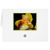 Life Blessings! Cards (Back Horizontal)