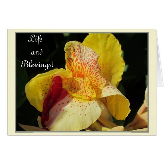 Life Blessings! Cards (Front Horizontal)