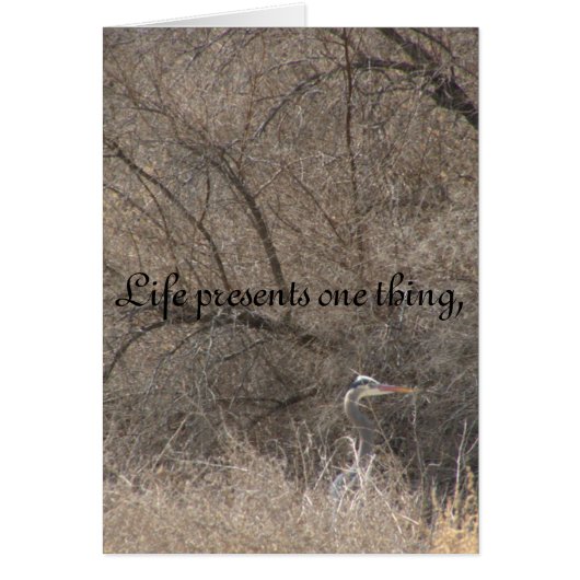 Life changes (Front)