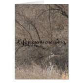 Life changes cards (Front)