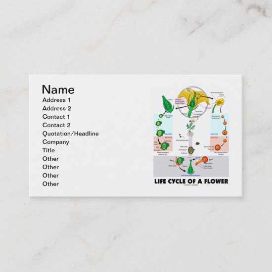 Life Cycle Of A Flower (Angiosperm) Business Card
