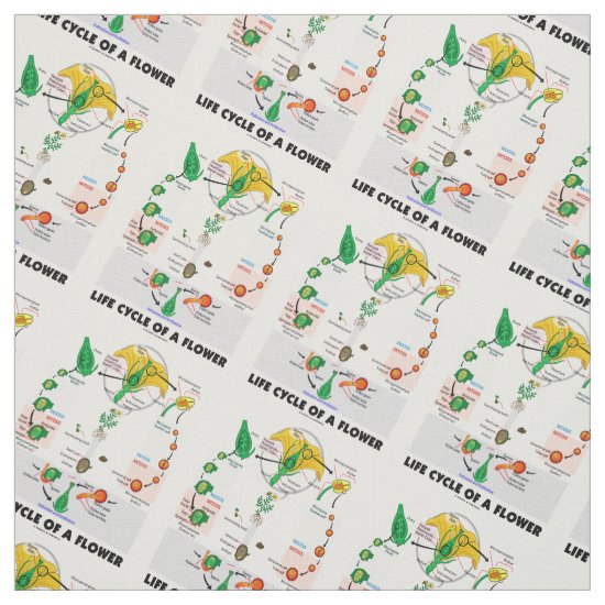 Life Cycle Of A Flower (Angiosperm) Fabric