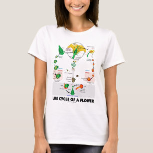 Life Cycle Of A Flower (Angiosperm) T-Shirt