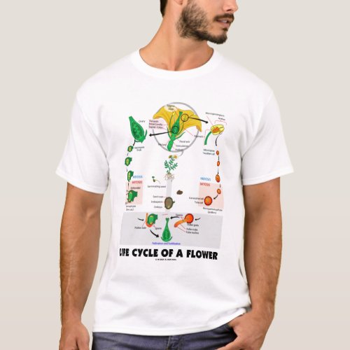 Life Cycle Of A Flower Biology Angiosperm T_Shirt