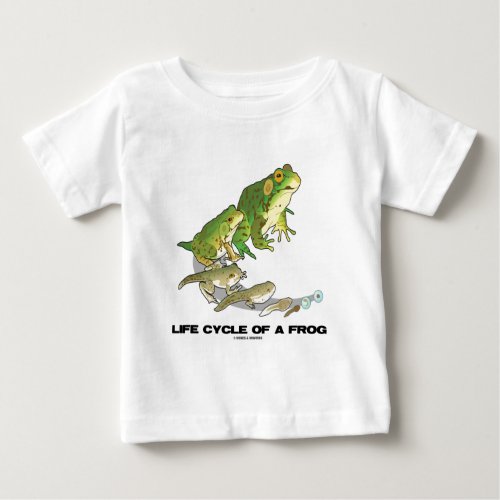 Life Cycle Of A Frog From Egg To Tadpole To Frog Baby T_Shirt