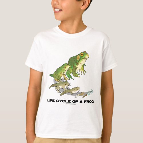 Life Cycle Of A Frog From Egg To Tadpole To Frog T_Shirt