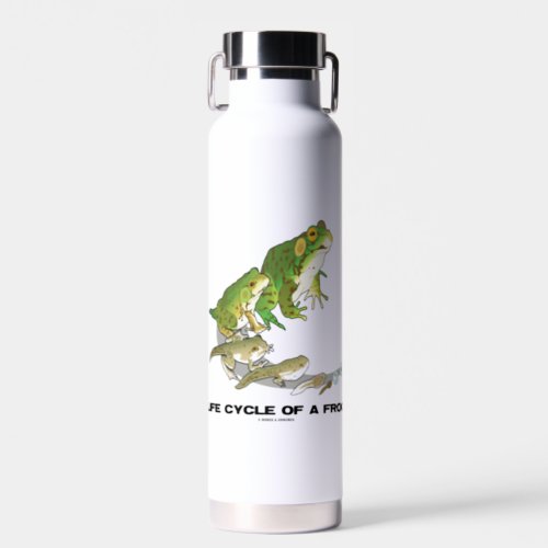 Life Cycle Of A Frog From Egg To Tadpole To Frog Water Bottle