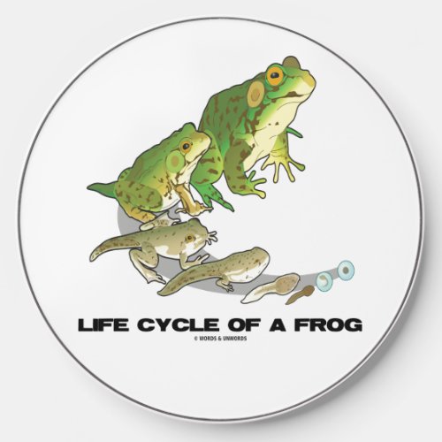 Life Cycle Of A Frog From Egg To Tadpole To Frog Wireless Charger