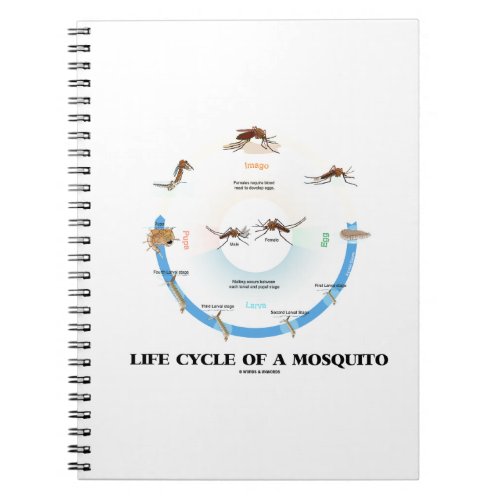 Life Cycle Of A Mosquito Egg Larva Pupa Imago Notebook