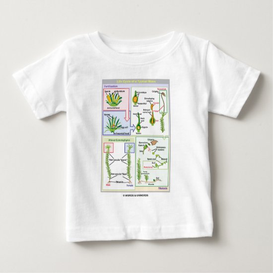Life Cycle Of A Typical Moss (Bryophyte) Baby T-Shirt