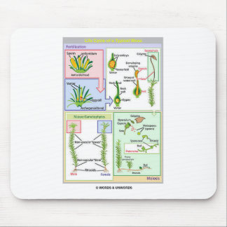 Life Cycle Of A Typical Moss (Bryophyte) Mouse Pad